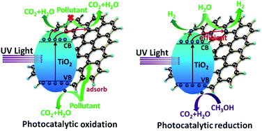 Graphical abstract: New insights into the relationship between photocatalytic activity and TiO2–GR composites