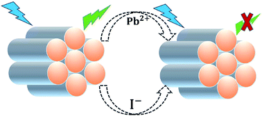 Graphical abstract: A single hybrid optical sensor based on nanoporous silica type SBA-15 for detection of Pb2+ and I− in aqueous media