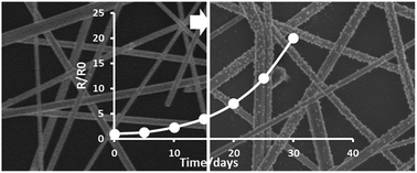 Graphical abstract: The effect of light and humidity on the stability of silver nanowire transparent electrodes