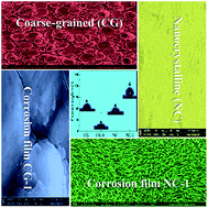 Graphical abstract: Deciphering the formation mechanism of a protective corrosion product layer from electrochemical and natural corrosion behaviors of a nanocrystalline zinc coating