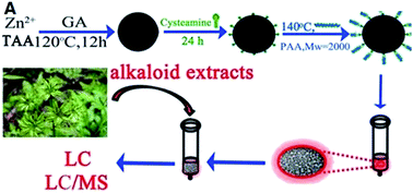 Graphical abstract: Development of polyacrylic acid-functionalized porous zinc sulfide nanospheres for a non-aqueous solid phase extraction procedure toward alkaloids