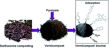 Graphical abstract: Effects of pyrolysis temperature on the physicochemical properties of biochar derived from vermicompost and its potential use as an environmental amendment
