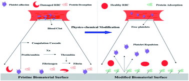 Graphical abstract: Review: physico-chemical modification as a versatile strategy for the biocompatibility enhancement of biomaterials