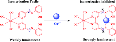 Graphical abstract: Synthesis and characterization of monometallic rhenium(i) complexes and their application as selective sensors for copper(ii) ions