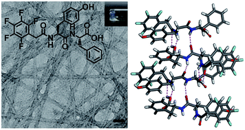 Graphical abstract: A supramolecular hydrogel self-assembled from pentafluorobenzyl-dipeptide