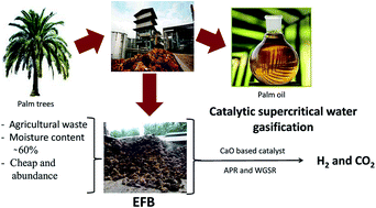 Graphical abstract: Screening of modified CaO-based catalysts with a series of dopants for the supercritical water gasification of empty palm fruit bunches to produce hydrogen