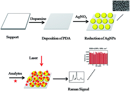 Graphical abstract: In situ polydopamine-assisted deposition of silver nanoparticles on a two dimensional support as an inexpensive and highly efficient SERS substrate