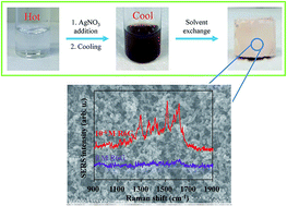 Graphical abstract: Mesoporous poly(ethylene-co-vinyl alcohol) monolith captured with silver nanoparticles as a SERS substrate: facile fabrication and ultra-high sensitivity