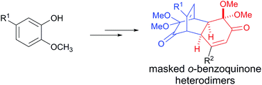 Graphical abstract: An approach towards expanding the scope of masked o-benzoquinone dimers to generate diverse compound libraries