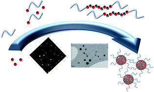 Graphical abstract: Synthesis of polyurea–polyether nanoparticles via spontaneous nanoprecipitation