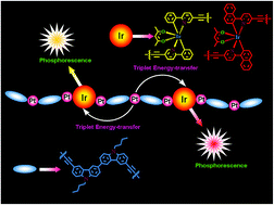 Graphical abstract: Platinum(ii) polymetallayne-based phosphorescent polymers with enhanced triplet energy-transfer: synthesis, photophysical, electrochemistry, and electrophosphorescent investigation
