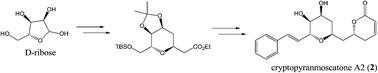 Graphical abstract: First total synthesis of cryptopyranmoscatone A2 from d-ribose