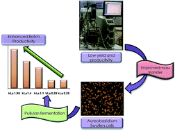 Graphical abstract: Understanding the effect of interaction among aeration, agitation and impeller positions on mass transfer during pullulan fermentation by Aureobasidium pullulans