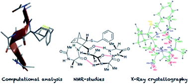 Graphical abstract: Model peptides containing the 3-sulfanyl-norbornene amino acid, a conformationally constrained cysteine analogue effective inducer of 310-helix secondary structures