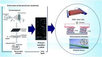 Graphical abstract: Ionic liquid entrapment by an electrospun polymer nanofiber matrix as a high conductivity polymer electrolyte