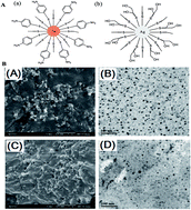 Graphical abstract: Synthesis, characterization and bifunctional applications of bidentate silver nanoparticle assisted single drop microextraction as a highly sensitive preconcentrating probe for protein analysis