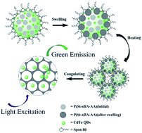 Graphical abstract: Synthesis of CdTe/P(St-nBA-AA) pierced fluorescent microspheres