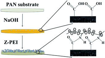 Graphical abstract: Constructing a zwitterionic ultrafiltration membrane surface via multisite anchorage for superior long-term antifouling properties