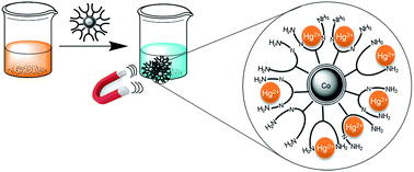 Graphical abstract: Reversible magnetic mercury extraction from water