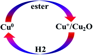 Graphical abstract: Dynamic redox cycle of Cu0 and Cu+ over Cu/SiO2 catalyst in ester hydrogenation