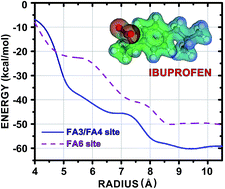 Graphical abstract: Quantum molecular modelling of ibuprofen bound to human serum albumin