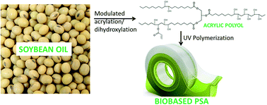 Graphical abstract: Synthesis and characterization of acrylic polyols and polymers from soybean oils for pressure-sensitive adhesives