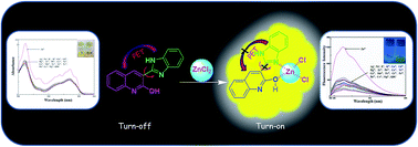 Graphical abstract: Quinoline benzimidazole-conjugate for the highly selective detection of Zn(ii) by dual colorimetric and fluorescent turn-on responses