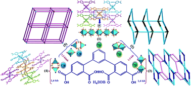 Graphical abstract: Hydrothermal syntheses, structural characterizations, and magnetic properties of five MOFs assembled from C2-symmetric ligand of 1,3-di(2′,4′-dicarboxylphenyl)benzene with various coordination modes