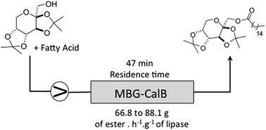 Graphical abstract: Lipase immobilized in microemulsion based organogels (MBGs) as an efficient catalyst for continuous-flow esterification of protected fructose