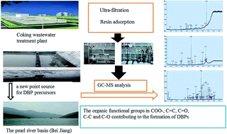 Graphical abstract: Identification of disinfection by-product precursors from the discharge of a coking wastewater treatment plant