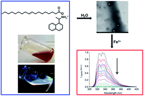 Graphical abstract: Highly stable ionic liquid-in-water emulsions as a new class of fluorescent sensors for metal ions: the case study of Fe3+ sensing