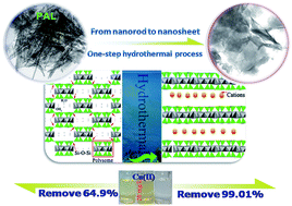 Graphical abstract: From nanorods of palygorskite to nanosheets of smectite via a one-step hydrothermal process