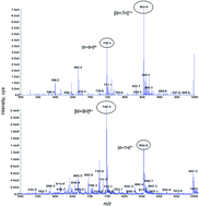 Graphical abstract: Rapid quantification of a chemically synthesized peptide GAP162 in rat plasma by liquid chromatography/triple quadrupole tandem mass spectrometry and application to a pharmacokinetic study