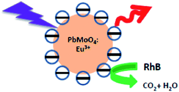 Graphical abstract: Photoluminescence and photocatalytic activity of monodispersed colloidal “ligand free Ln3+-doped PbMoO4 nanocrystals”