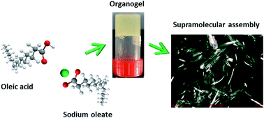 Graphical abstract: Organogel formation via supramolecular assembly of oleic acid and sodium oleate
