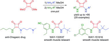 Graphical abstract: One-pot synthesis of unsymmetrical squaramides