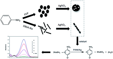 Graphical abstract: Micro/nano-structured polyaniline/silver catalyzed borohydride reduction of 4-nitrophenol