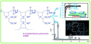 Graphical abstract: Synthesis of a unique cross-linked polyzwitterion/anion with an aspartic acid residue and its use for Pb2+ removal from aqueous solution