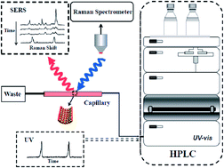 Graphical abstract: Rapid separation and on-line detection by coupling high performance liquid chromatography with surface-enhanced Raman spectroscopy
