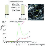 Graphical abstract: Fast and selective determination of phenazopyridine at a novel multi-walled carbon nanotube modified ZnCrFeO4 magnetic nanoparticle paste electrode
