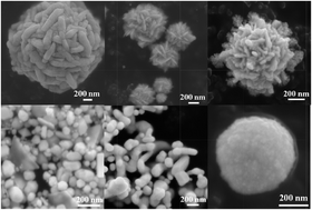 Graphical abstract: Morphological study of microwave-assisted facile synthesis of gold nanoflowers/nanoparticles in aqueous medium and their catalytic application for reduction of p-nitrophenol to p-aminophenol