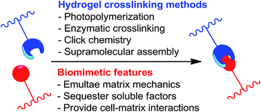Graphical abstract: Recent advances in crosslinking chemistry of biomimetic poly(ethylene glycol) hydrogels