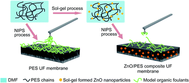 Graphical abstract: Fouling behavior of polyethersulfone ultrafiltration membranes functionalized with sol–gel formed ZnO nanoparticles