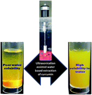 Graphical abstract: One-step, ultrasonication-mobilized, solvent-free extraction/synthesis of nanocurcumin from turmeric