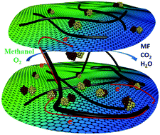 Graphical abstract: Highly active Au–Pd nanoparticles supported on three-dimensional graphene–carbon nanotube hybrid for selective oxidation of methanol to methyl formate