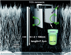 Graphical abstract: High aspect ratio TiO2 nanowires tailored in concentrated HCl hydrothermal condition for photoelectrochemical water splitting
