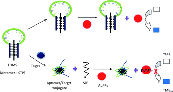 Graphical abstract: A novel colorimetric triple-helix molecular switch aptasensor based on peroxidase-like activity of gold nanoparticles for ultrasensitive detection of lead(ii)