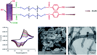 Graphical abstract: In situ chemical oxidative graft polymerization of aniline from phenylamine end-caped poly(ethylene glycol)-functionalized multi-walled carbon nanotubes