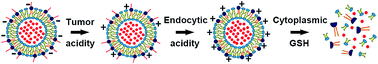 Graphical abstract: Acid/redox dual-activated liposomes for tumor-targeted drug delivery and enhanced therapeutic efficacy