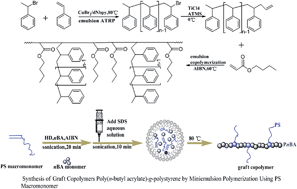 Graphical abstract: Synthesis and characterization of graft copolymers PnBA-g-PS by miniemulsion polymerization